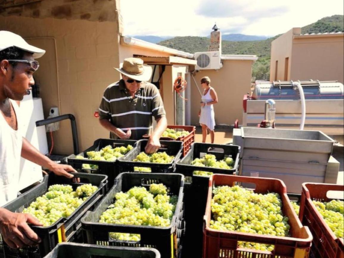 Mymering Wine & Guest Estate Ladismith Luaran gambar