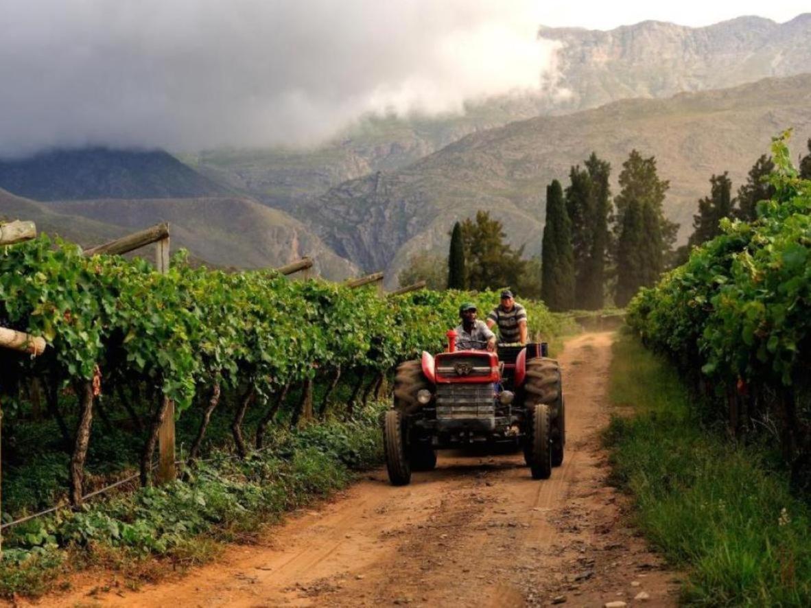 Mymering Wine & Guest Estate Ladismith Luaran gambar