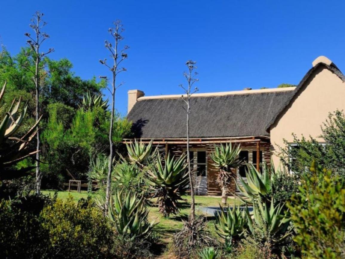 Mymering Wine & Guest Estate Ladismith Bilik gambar