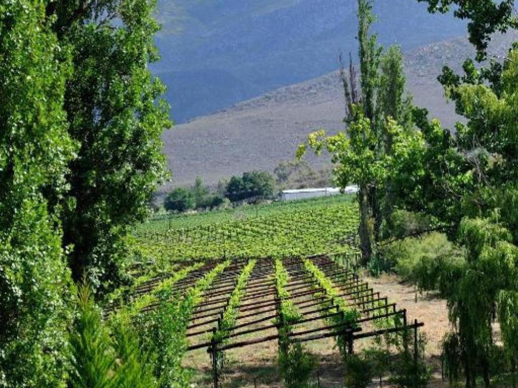 Mymering Wine & Guest Estate Ladismith Luaran gambar